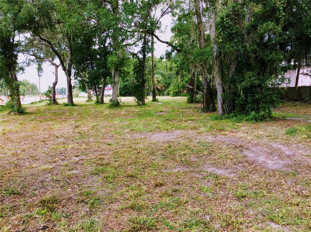 A grassy, partially wooded vacant lot with mature trees under an overcast sky — 8780 W KINGSTON DRIVE, HOMOSASSA, FL
