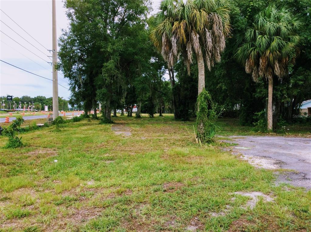 A grassy, partially paved vacant lot features several tall palm trees and mature shade trees — 8780 W KINGSTON DRIVE, HOMOSASSA, FL