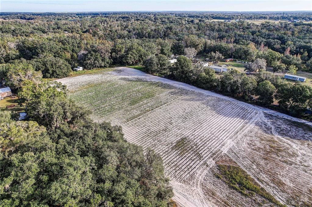 An aerial view shows a large, tilled agricultural field surrounded by dense trees and structures — 4822 NESMITH ROAD, PLANT CITY, FL