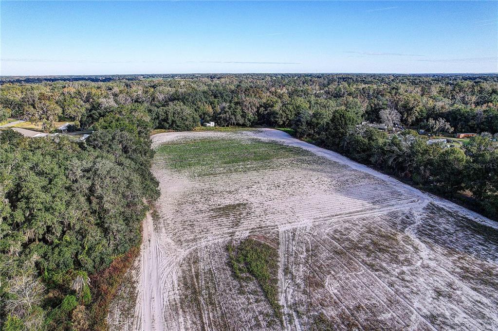 An aerial view shows a large, cleared sandy lot surrounded by dense trees — 4822 NESMITH ROAD, PLANT CITY, FL
