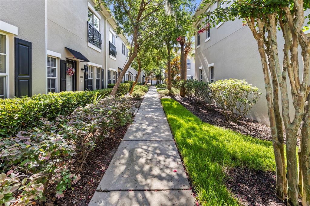 A concrete walkway leads between two multi-story townhouses lined with green hedges and trees — 10044 OLD HAVEN WAY, TAMPA, FL