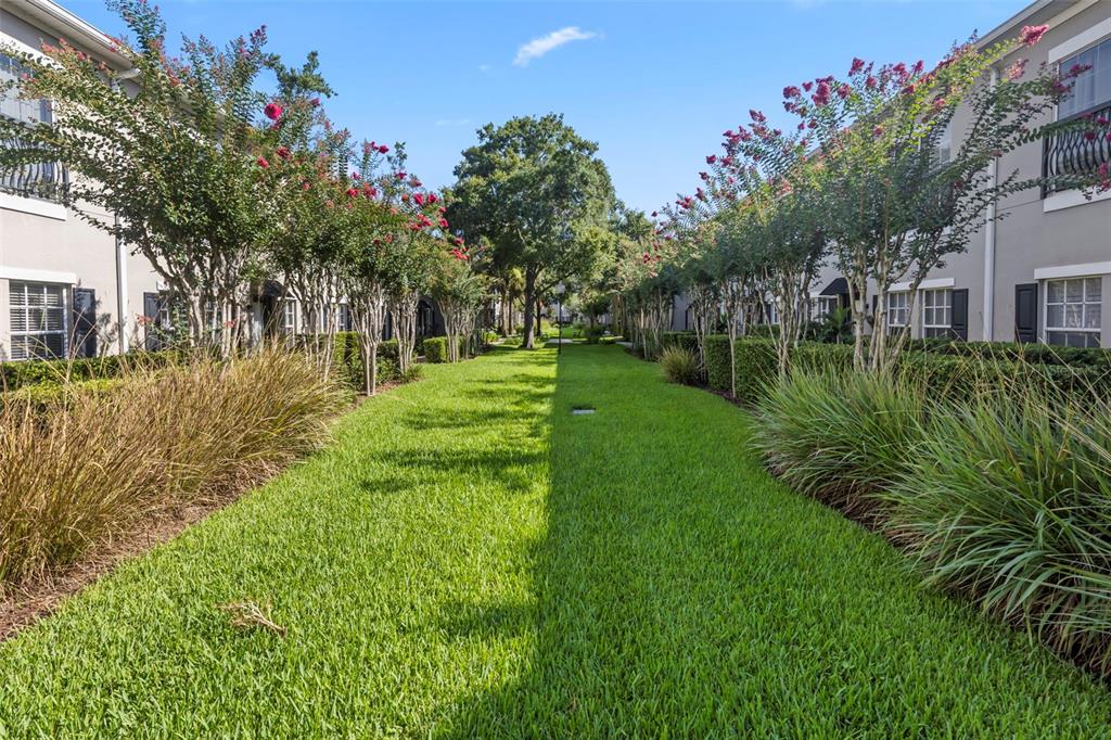 A grassy courtyard path is lined with flowering trees and townhomes on both sides — 10044 OLD HAVEN WAY, TAMPA, FL