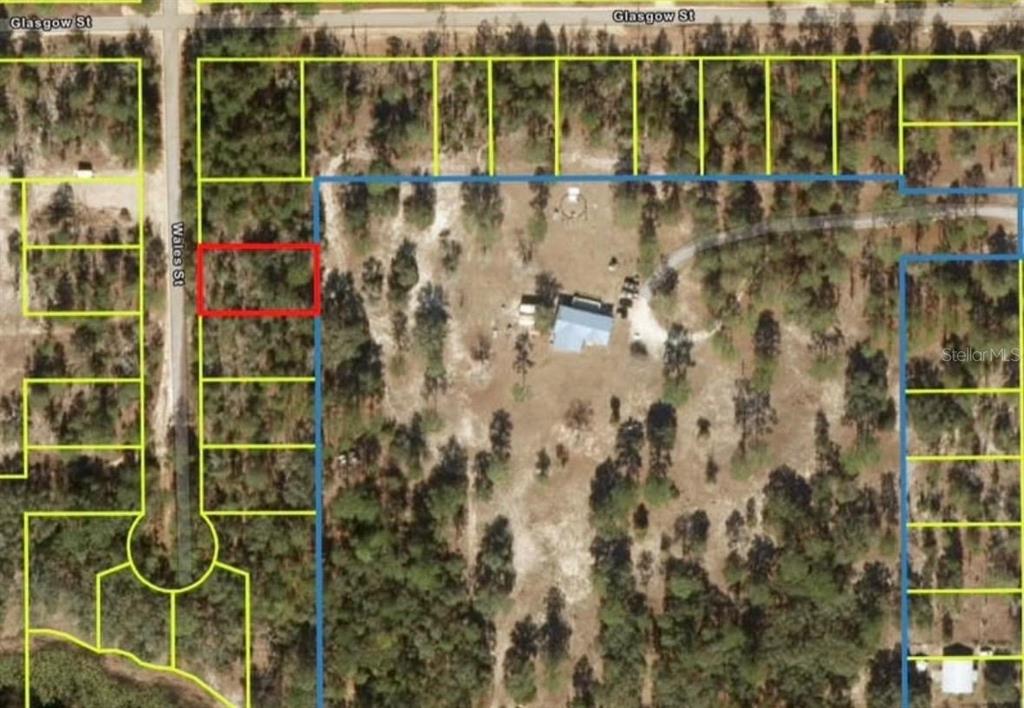 This aerial map shows a rectangular plot of land highlighted in red among wooded lots — 204 WALES STREET, INTERLACHEN, FL