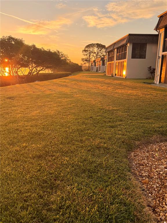 A grassy lawn leads toward multi-story residential buildings at sunset near a body of water — 2980 HAINES BAYSHORE ROAD UNIT 124, CLEARWATER, FL