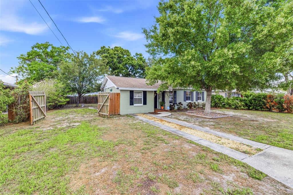 A single-story house with light green siding, black shutters, and a large front yard tree — 3913 W WALLACE AVENUE, TAMPA, FL