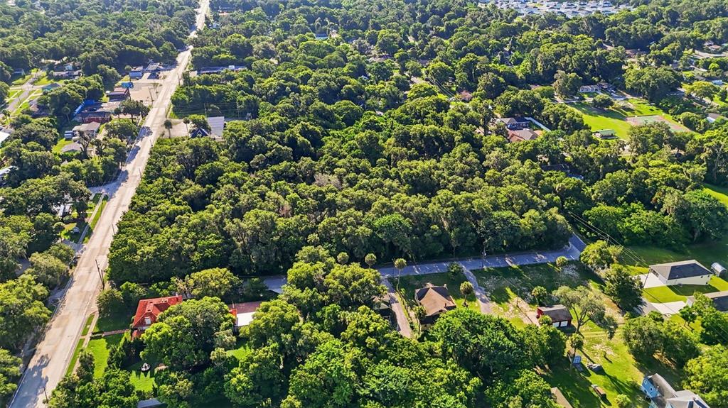 An aerial view shows a large, wooded lot surrounded by residential houses and streets — E NEW YORK AVENUE, DELAND, FL