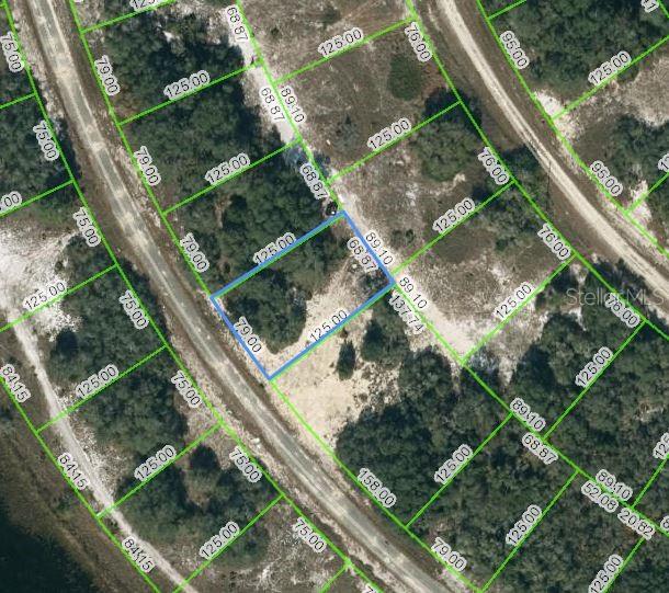 This aerial map shows a highlighted rectangular plot of land surrounded by other vacant lots — 311 RHYTHM DRIVE, LAKE PLACID, FL