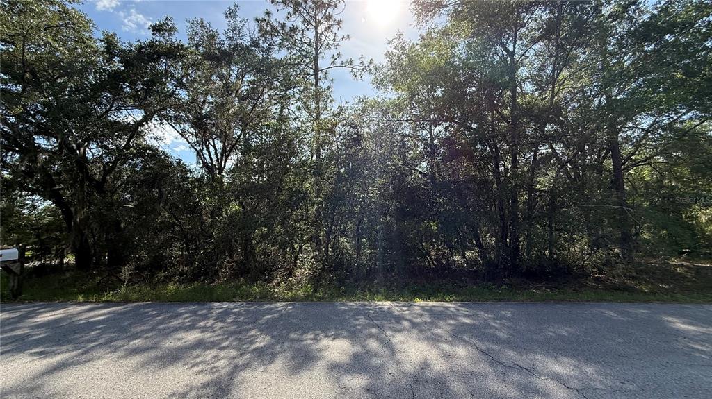 A paved road runs in front of a densely wooded, undeveloped lot — UNDETERMINED, DUNNELLON, FL