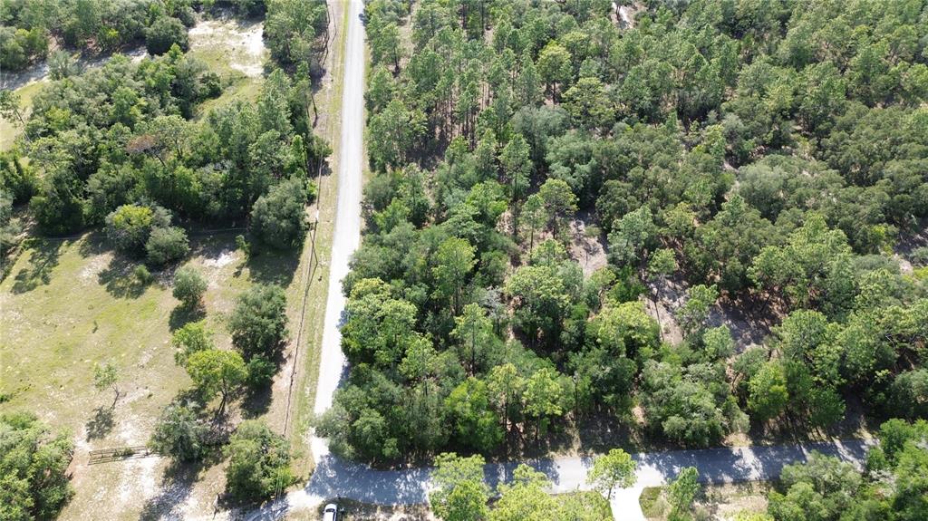 An aerial view shows a paved road intersecting a wooded lot with scattered trees — UNDETERMINED, DUNNELLON, FL