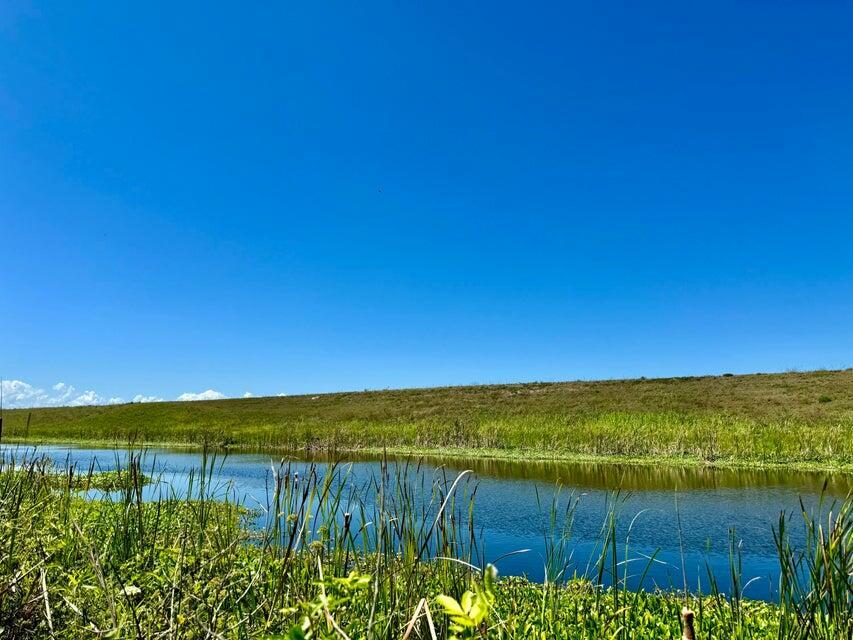 A grassy embankment slopes down to a calm pond under a clear blue sky — 5646 Us Hwy 441, Okeechobee FL 34974, OKEECHOBEE, FL