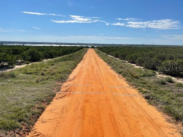 A dirt road stretches through a citrus grove toward a distant body of water — 0 C SULLIVAN ROAD, FROSTPROOF, FL