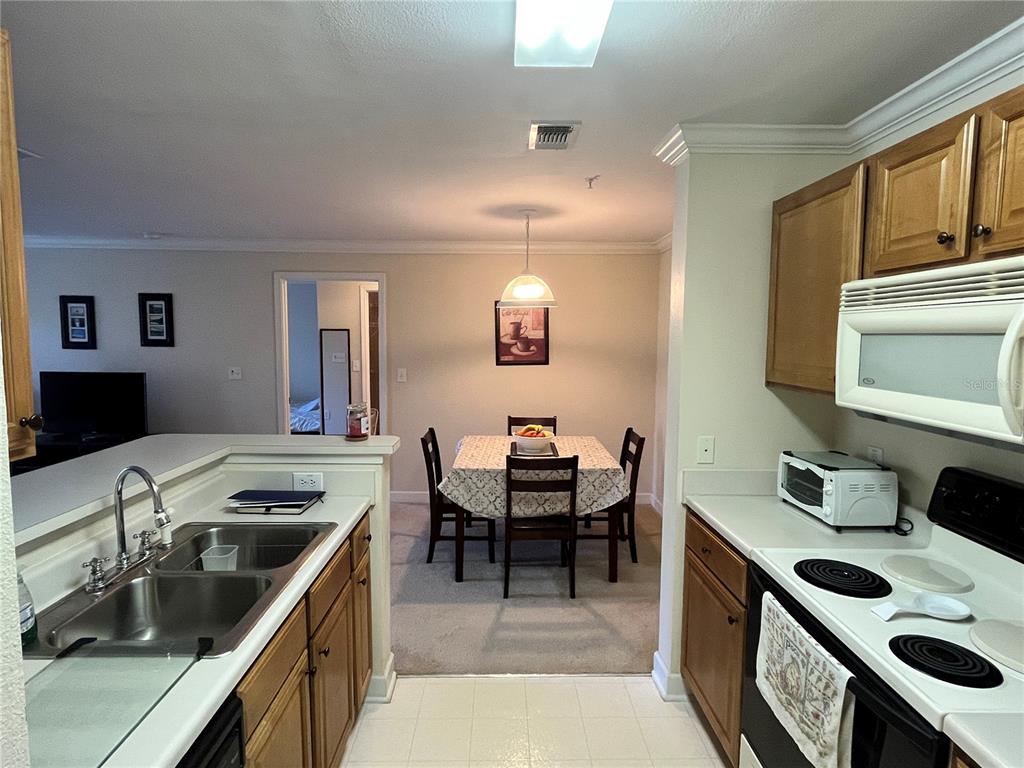 A kitchen with wood cabinets and a double sink overlooks a dining area with carpet — 18281 BRIDLE CLUB DRIVE, TAMPA, FL