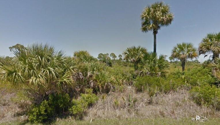 A vacant, undeveloped lot covered in native Florida scrub, palmettos, and several tall palm trees — 335 REDINGTON AVENUE, PORT CHARLOTTE, FL
