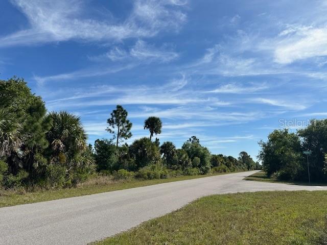 A paved road runs alongside a grassy area with trees and palm trees under a sky — 335 REDINGTON AVENUE, PORT CHARLOTTE, FL