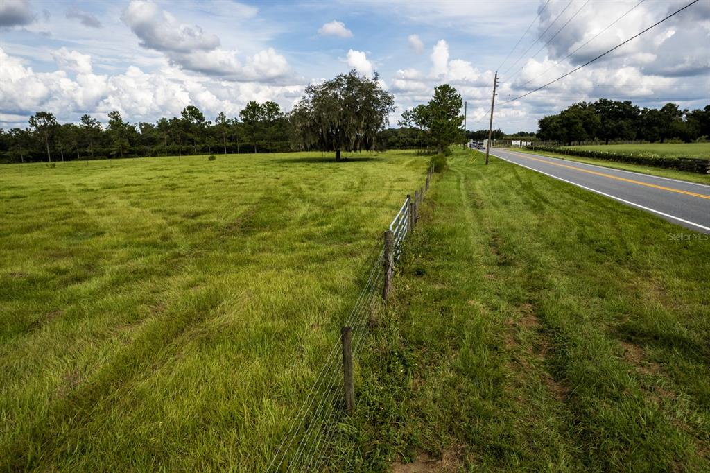 A grassy field with a wire fence borders a paved road under a cloudy sky — 17937 COUNTY ROAD 448, MOUNT DORA, FL