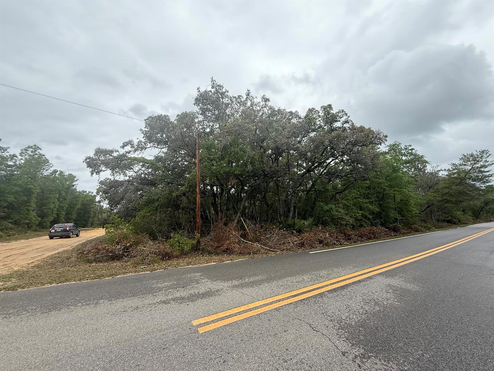 A paved road with double yellow lines borders a wooded lot with a utility pole — Tbd Theresa Avenue, FL 32148, FL