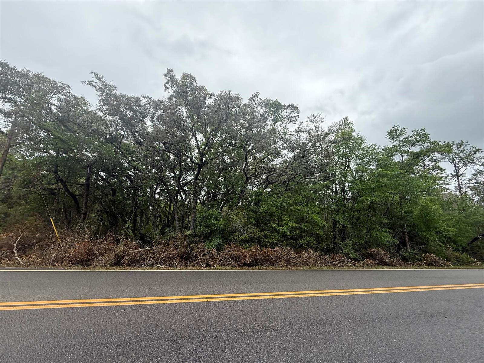 A paved road runs in front of a dense line of trees under a cloudy sky — Tbd Theresa Avenue, FL 32148, FL