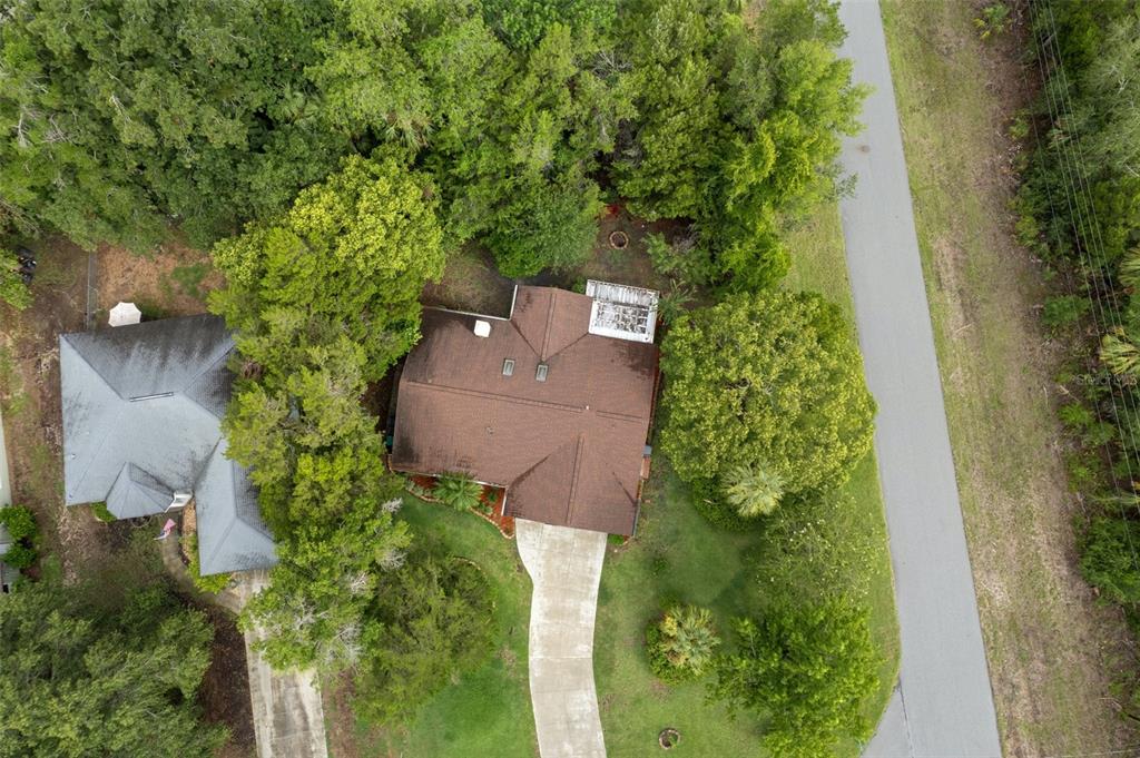 An aerial view shows two houses with brown and gray roofs surrounded by dense trees — 4856 S DRIFTWOOD WAY, HOMOSASSA, FL