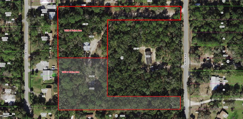This is an aerial map showing two adjacent properties outlined in red on a wooded lot — 1660 S PALM AVENUE, HOMOSASSA, FL