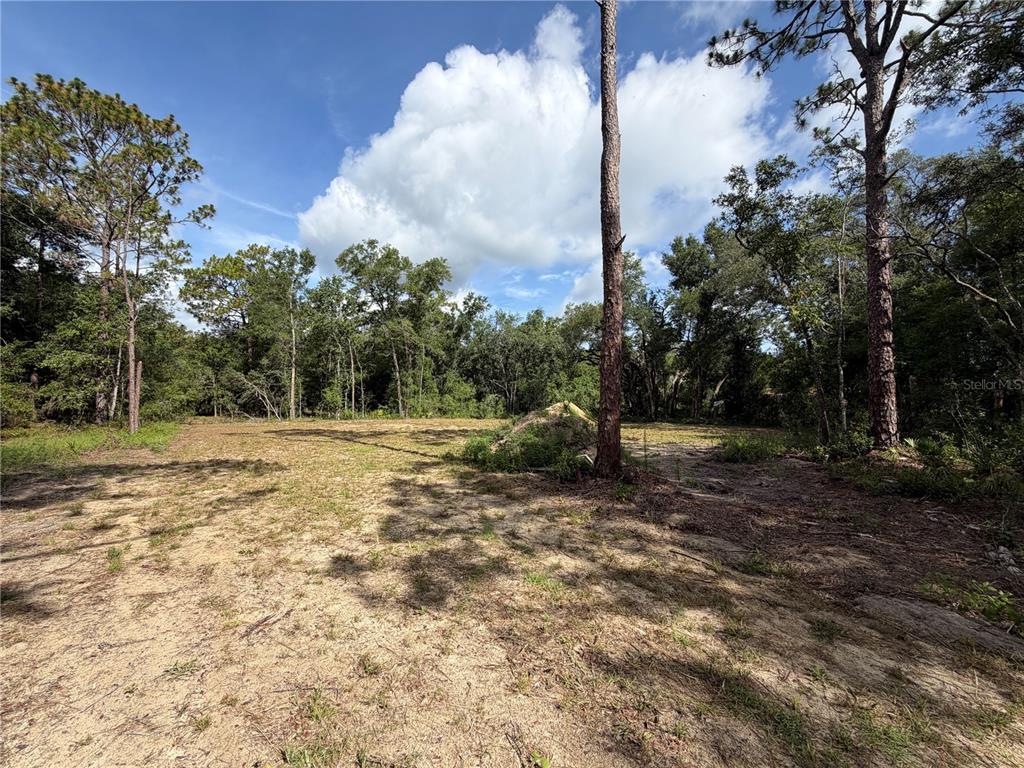 A cleared, sandy lot is surrounded by mature trees under a blue sky — 0 IDLEWOOD DRIVE, WEBSTER, FL