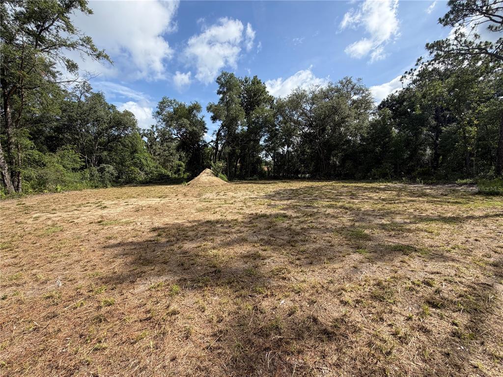 A cleared, grassy lot is surrounded by dense trees under a blue sky — 0 IDLEWOOD DRIVE, WEBSTER, FL