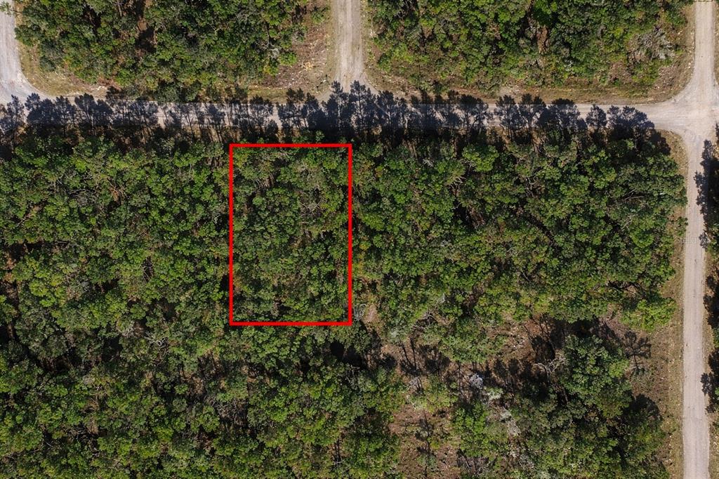 An aerial view shows a rectangular plot of land outlined in red within a wooded area — 60 E FALCON STREET, DUNNELLON, FL