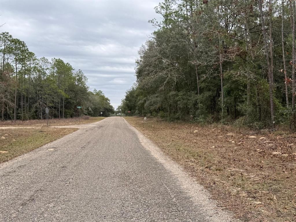 A paved road stretches between dense woods under a cloudy sky — 60 E FALCON STREET, DUNNELLON, FL