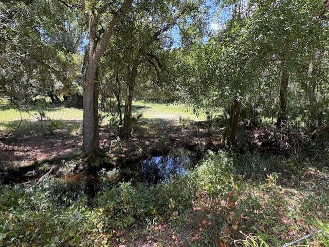 A small, dark stream flows through a wooded area with mature trees and dense vegetation — 10613 SE FOSTER AVENUE, ARCADIA, FL