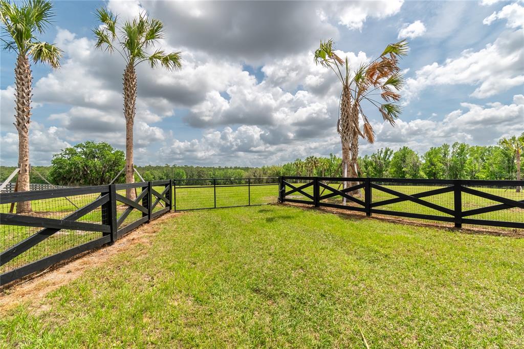TBD HWY 329, REDDICK, FL — photo 3 of 27