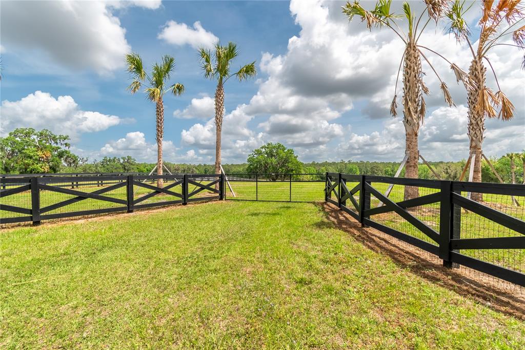 TBD HWY 329, REDDICK, FL — photo 4 of 27