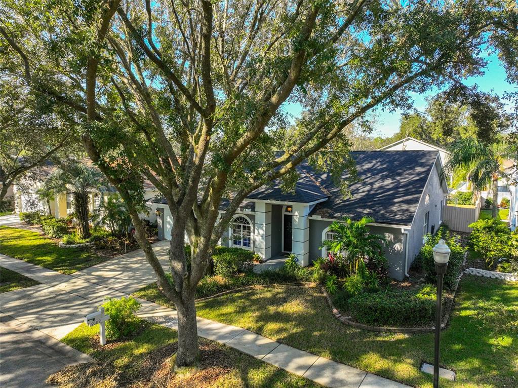 A single-story house with a gray exterior, dark roof, and a large tree in front — 9309 HAMPSHIRE PARK DRIVE, TAMPA, FL