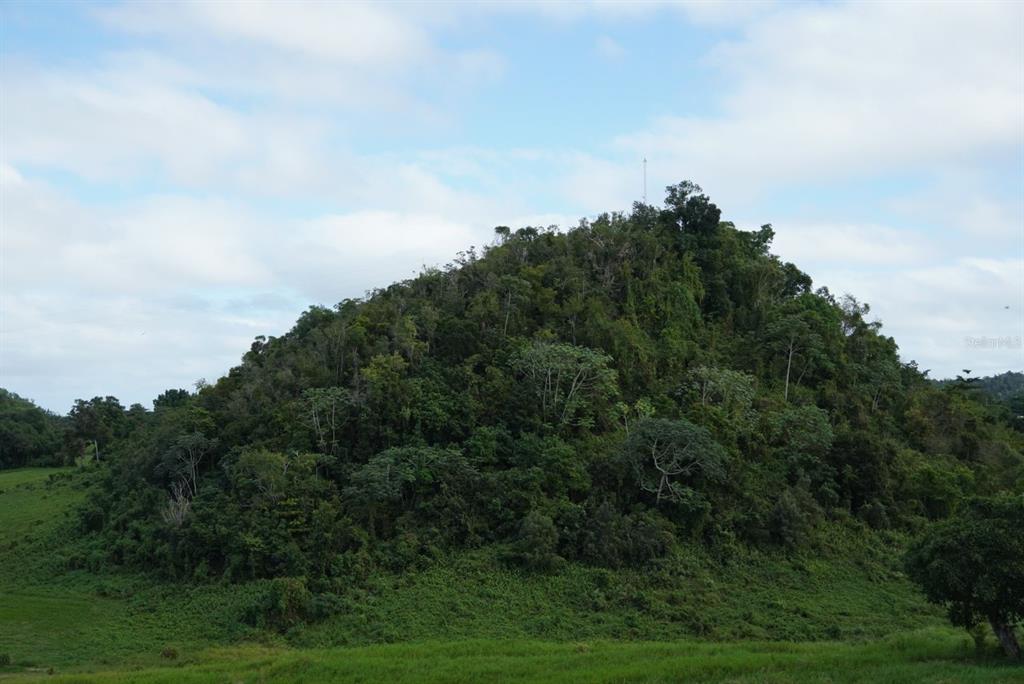 A lush, tree-covered hill rises above a grassy field under a partly cloudy sky — 480 CALLE S. TOSADO, QUEBRADILLAS, PR