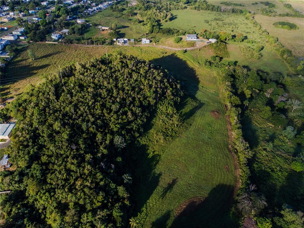 An aerial view shows a large, wooded hill adjacent to an open, grassy field — 480 CALLE S. TOSADO, QUEBRADILLAS, PR