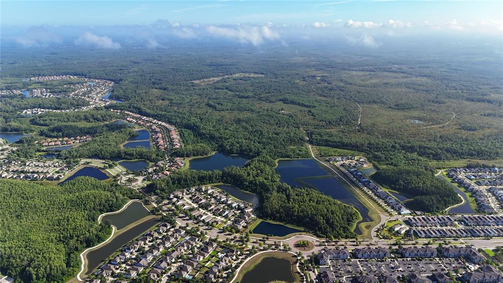 An aerial view shows a residential neighborhood with houses, ponds, and surrounding forest — 13203 BLISSFIELD, ODESSA, FL