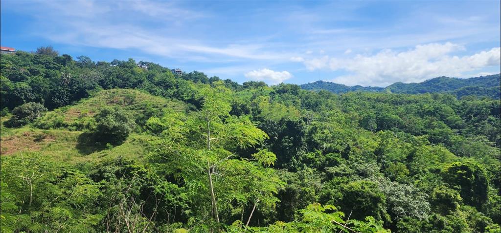 A view of a lush, green, hilly landscape under a bright blue sky — Carr. 412, Km. 4.8 CALLE PASCUAL NIEVES, BO. CALVACHE, RINCON, PR
