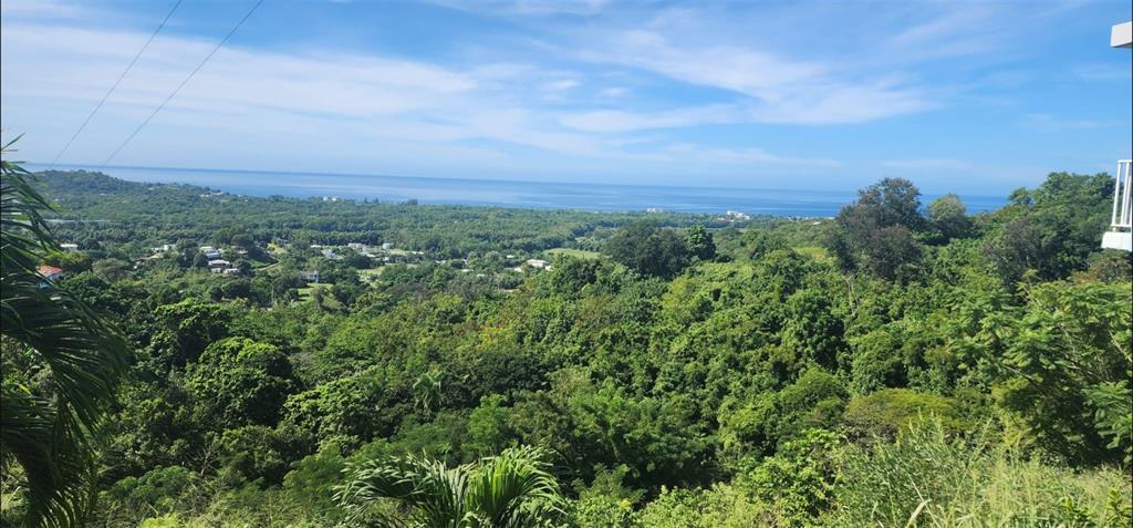 A high-angle view of a lush green forest landscape overlooking the distant blue ocean — Carr. 412, Km. 4.8 CALLE PASCUAL NIEVES, BO. CALVACHE, RINCON, PR