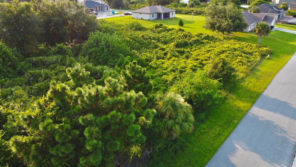 An aerial view shows a vacant, heavily wooded residential lot next to a paved road — Lot 30 CLOVELON STREET, NORTH PORT, FL