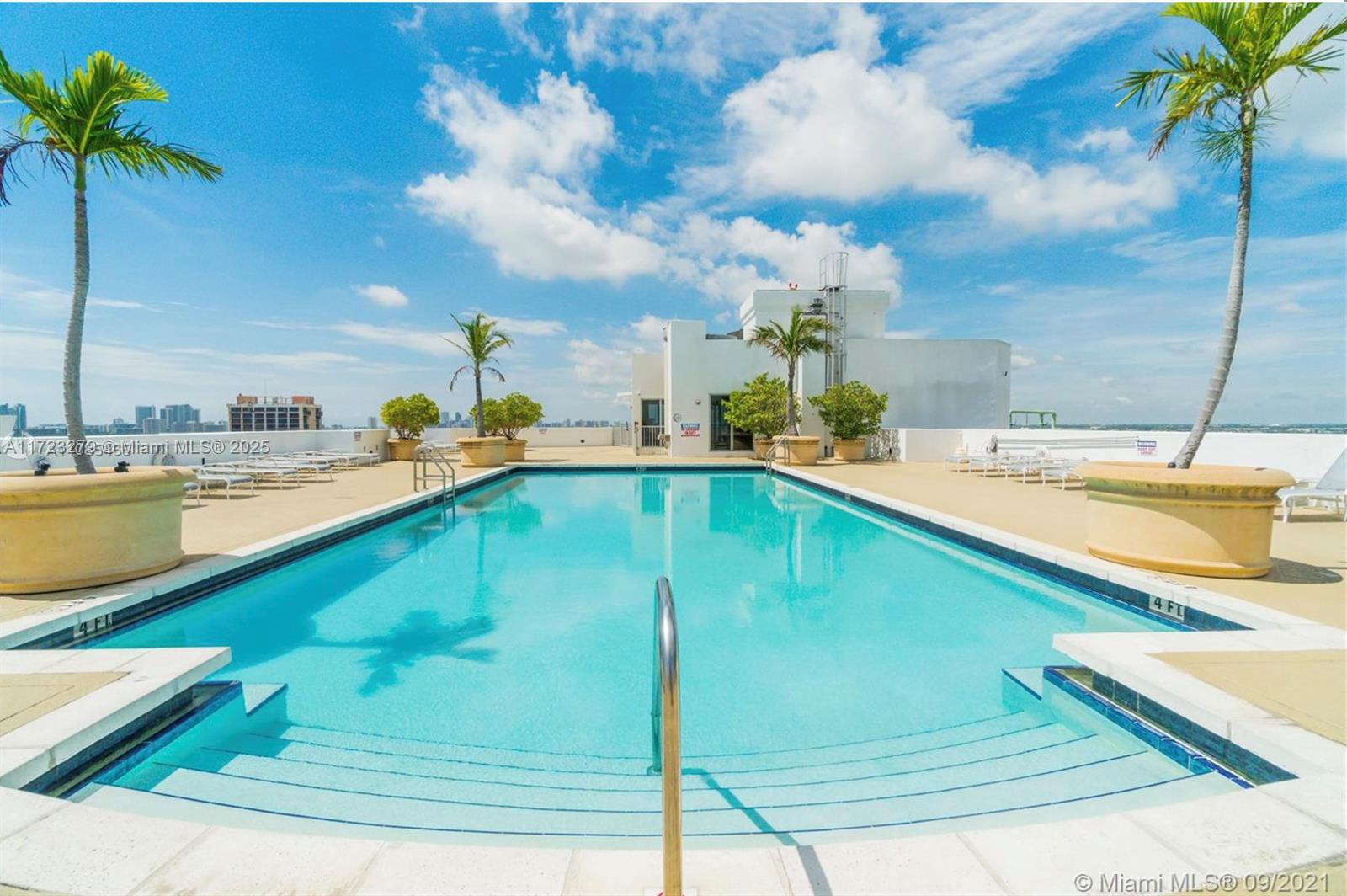 A rooftop swimming pool features palm trees, lounge chairs, and a clear blue sky — 1830 Radius Dr # 421, Hollywood FL 33020, HOLLYWOOD, FL