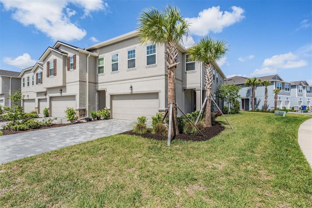 A two-story townhouse with a beige stucco exterior, a two-car garage, and two palm trees — 19219 BLUE POND DRIVE, LUTZ, FL