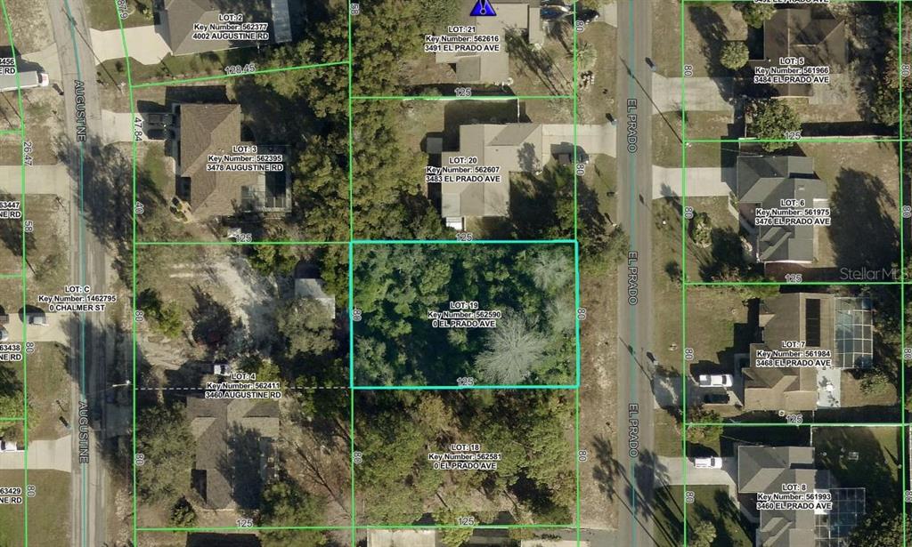 This is an aerial map showing a vacant, wooded residential lot outlined in blue — 3475 EL PRADO AVENUE, SPRING HILL, FL
