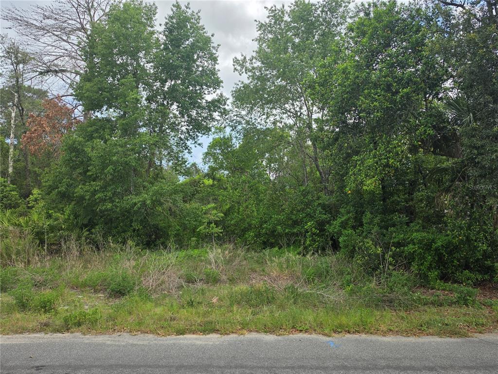 A vacant, wooded residential lot sits behind a paved road under a cloudy sky — 3475 EL PRADO AVENUE, SPRING HILL, FL