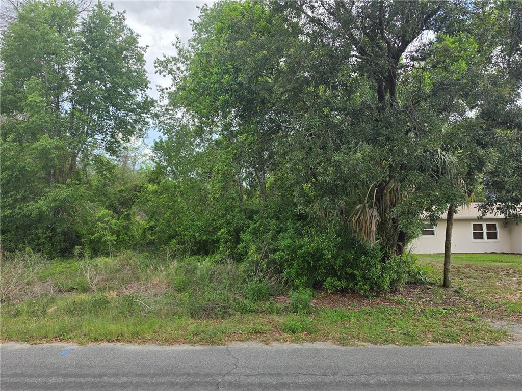 A vacant, wooded residential lot sits next to a single-story house — 3475 EL PRADO AVENUE, SPRING HILL, FL