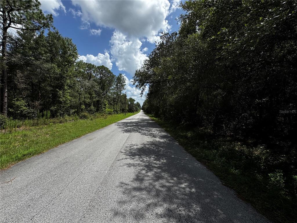A paved road stretches into the distance, flanked by dense trees and grassy shoulders — SW 54TH STREET, DUNNELLON, FL