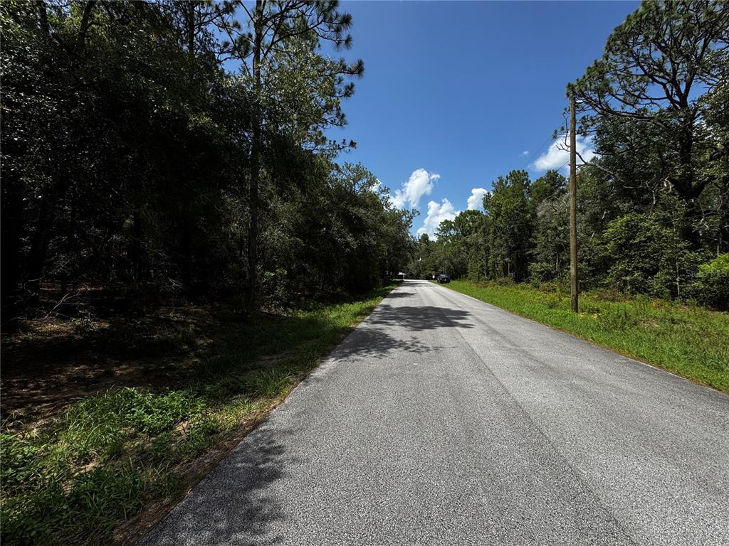 A paved road stretches forward between dense green trees under a bright blue sky — SW 54TH STREET, DUNNELLON, FL