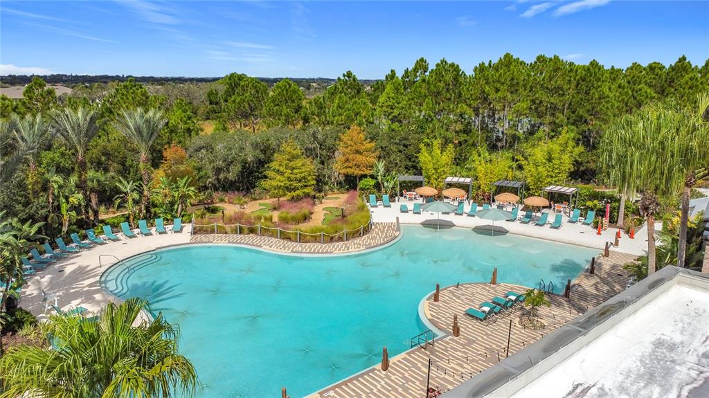 An elevated view of a swimming pool surrounded by lounge chairs, palm trees, and landscaping — 721 BENOI DR, DAVENPORT, FL