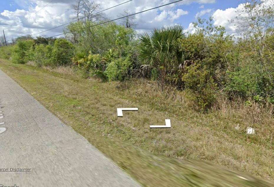 A paved road runs alongside a dense area of brush and trees under a cloudy sky — 2630 NE 37TH AVENUE, NAPLES, FL