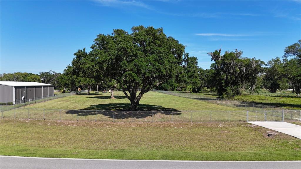 A fenced, grassy lot features a large central tree and an adjacent metal building — 980 DUCK BOX ROAD, UMATILLA, FL