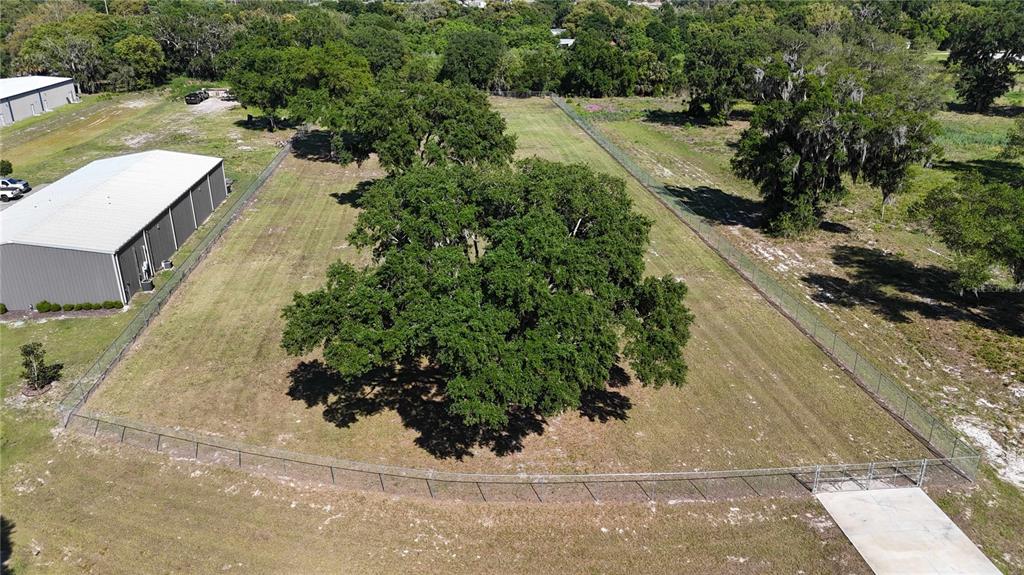 An aerial view shows a fenced, grassy lot featuring a large oak tree and building — 980 DUCK BOX ROAD, UMATILLA, FL