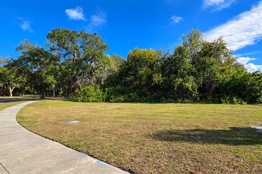 A grassy vacant lot bordered by a concrete sidewalk and dense trees under a blue sky — 0 MICHIGAN AVENUE, KISSIMMEE, FL