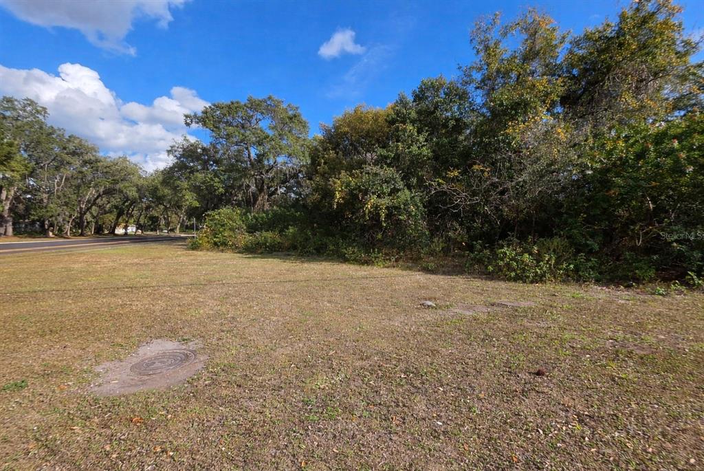A grassy, vacant lot features a utility cover in the foreground and dense trees behind — 0 MICHIGAN AVENUE, KISSIMMEE, FL